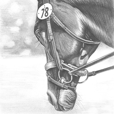 Hand Drawn Pencil Horse Portrait from A Headshot Photo,by myDaVinci - myDaVinci